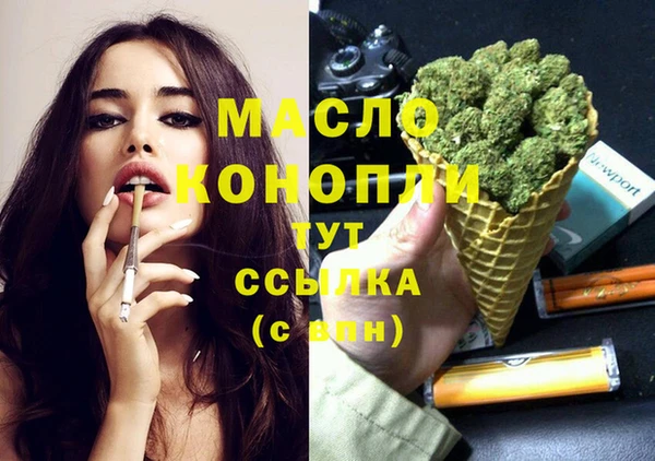 шишки Покачи