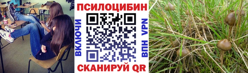 Псилоцибиновые грибы мухоморы Ивангород