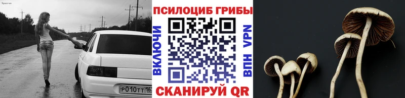 Галлюциногенные грибы мицелий  это наркотические препараты  Ивангород  цена наркотик 